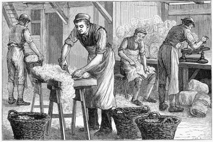 wool trade in england